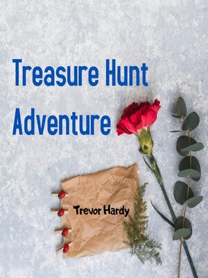cover image of Treasure Hunt Adventure